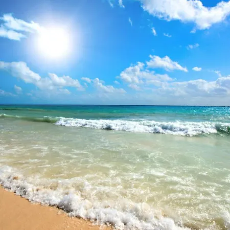 Lejlighed Sunny View 3401 Sunny Sunny Beach